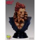 Street Fighter Bust Akuma 25 cm --- DAMAGED PACKAGING